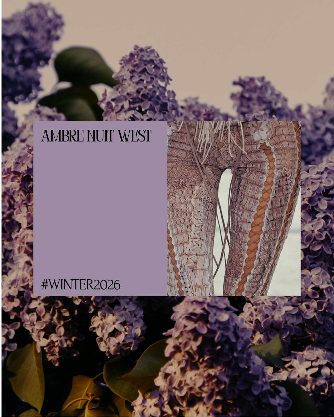 Ambre Nuit West Eau De Parfum 8 ML